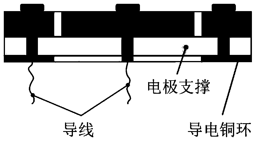 Electrode structure for in situ observation of lithium ion diffusion process