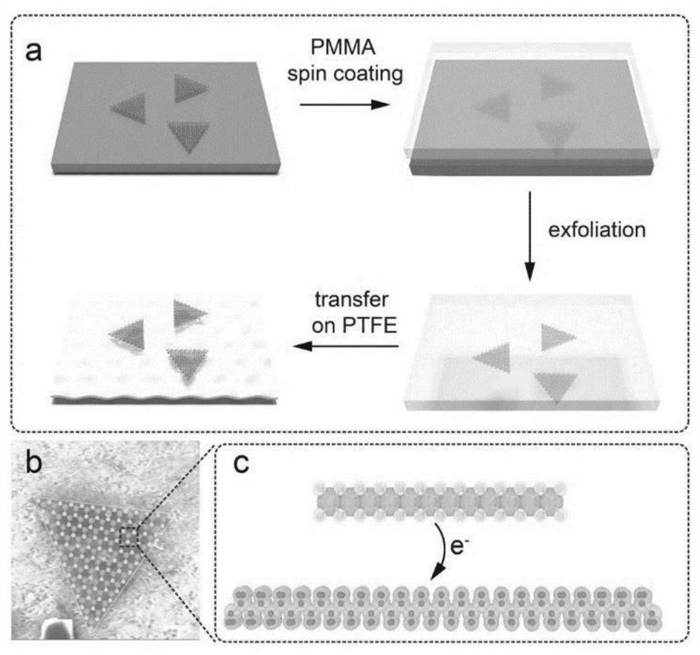 A kind of method and semiconductor that carry out p-type doping to tmdcs based on ptfe
