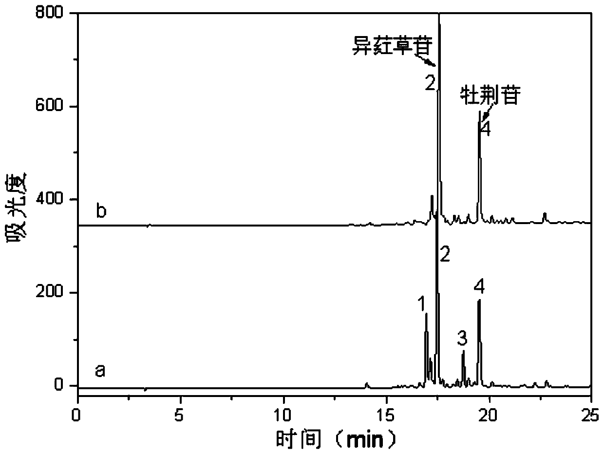 Fernleaf hedge bamboo extract, and preparation method and application thereof