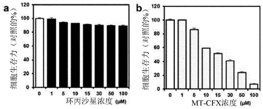 Repurposed antibiotics for non-nuclear genotoxic chemotherapy and pharmaceutical composition for Anti-cancer containing the same