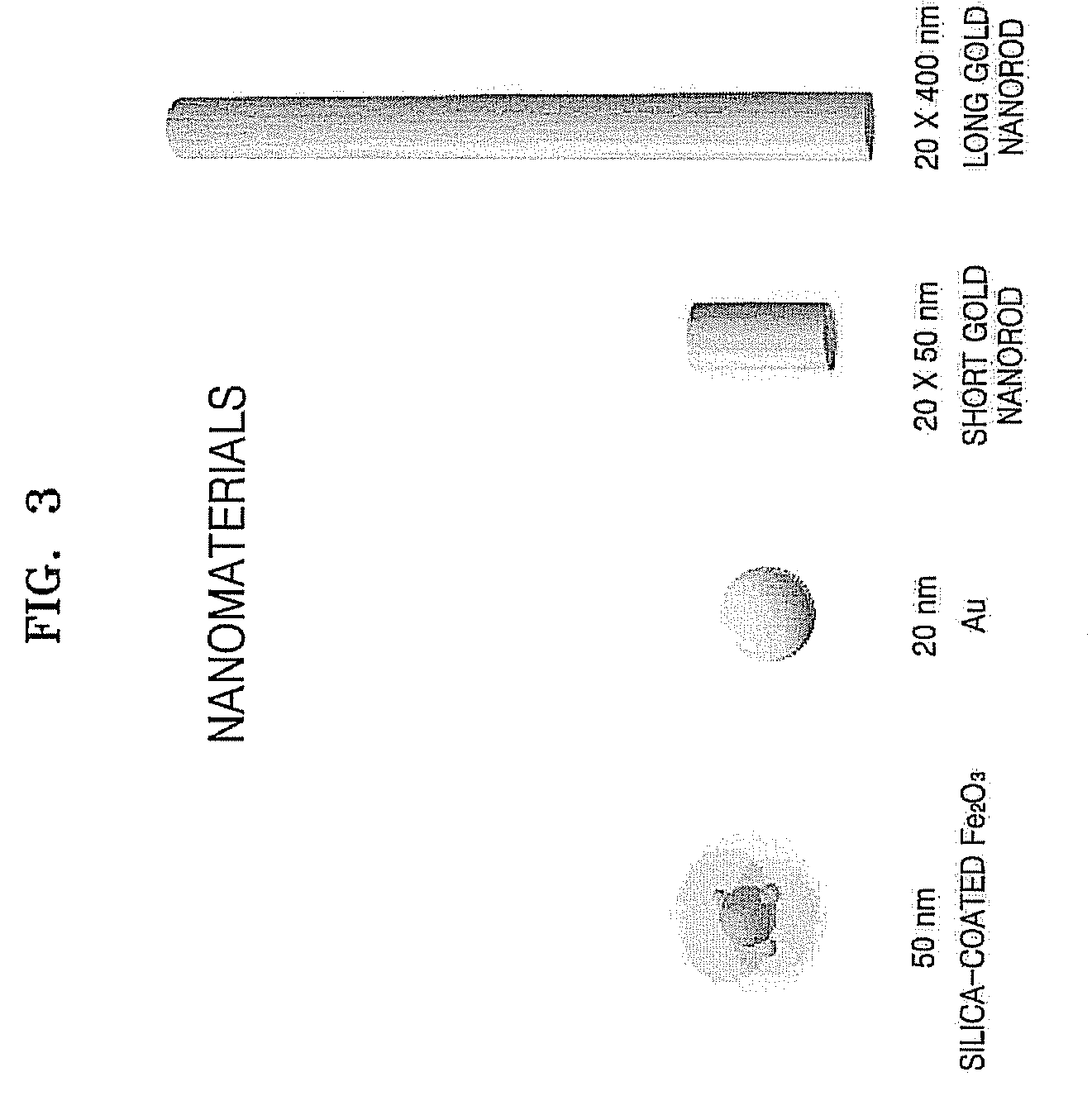Method and apparatus for disrupting cells and amplifying nucleic acids using gold nanorods
