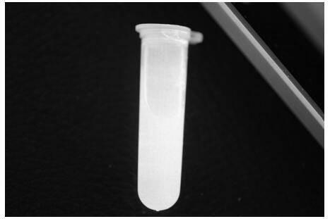 Fluorescent microspheres with carboxyl group-enriched surface and synthesis method of fluorescent microspheres