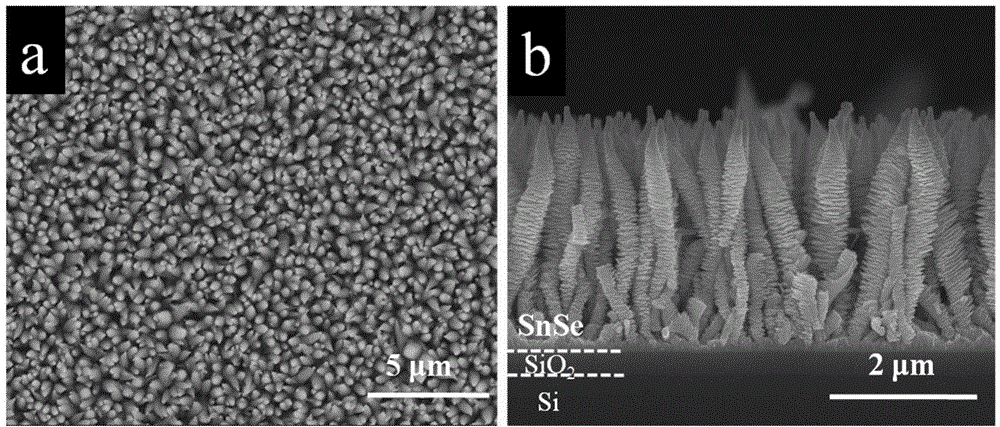 A kind of one-dimensional tin selenide nano-array, its preparation method and application