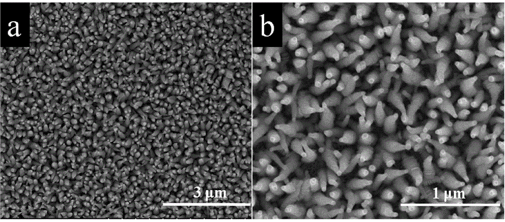 A kind of one-dimensional tin selenide nano-array, its preparation method and application