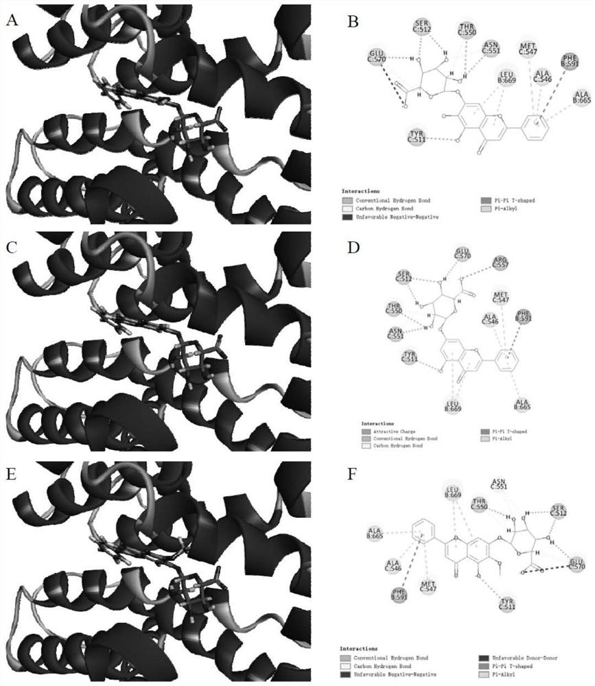 Separation and identification of anti-migraine effective components in Duijinsan and application of anti-migraine effective components in Duijinsan