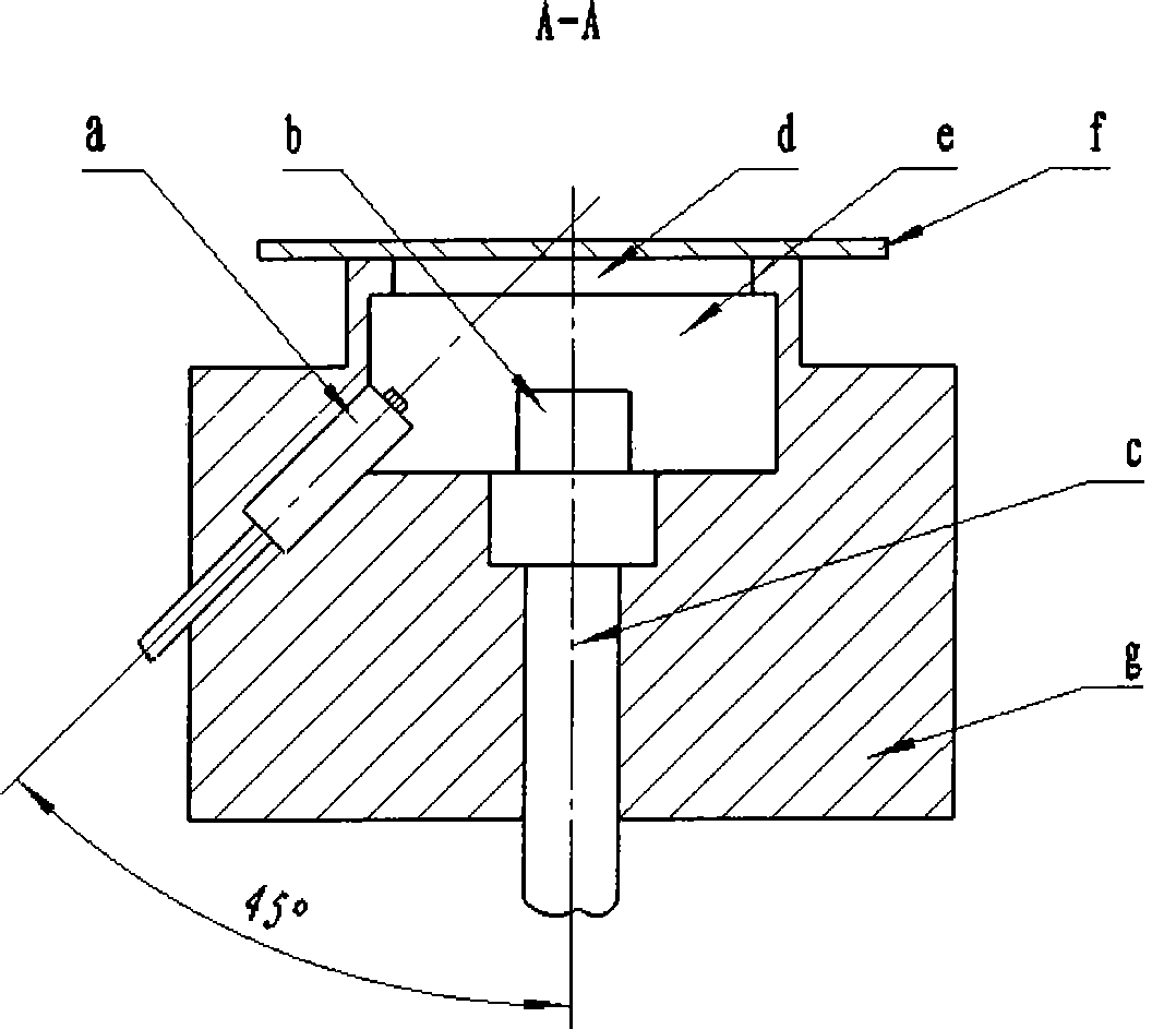 Plant chlorophyll measuring instrument and chlorophyll measuring method