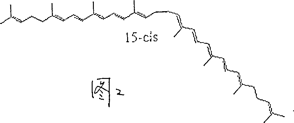 Preparation method of lycopene richly containing cis-isomer