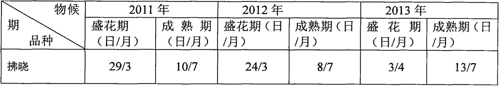 Reshaping and cultivating method for peach tree with single trunk and two main branches