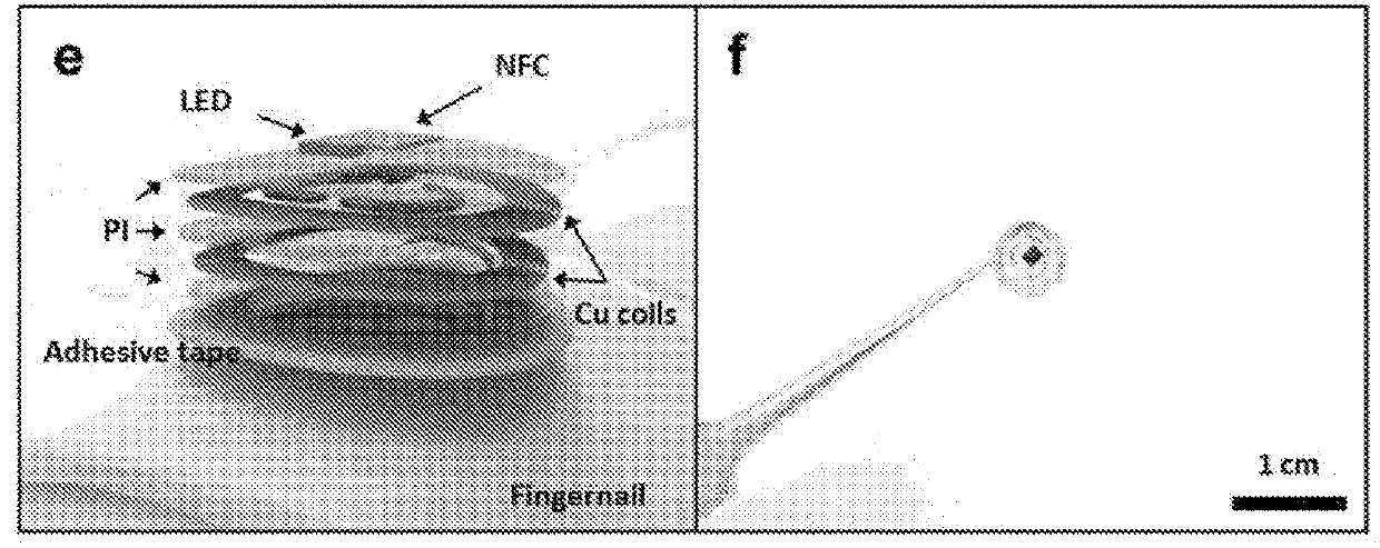 Miniaturized electronic systems with wireless power and near-field communication capabilities