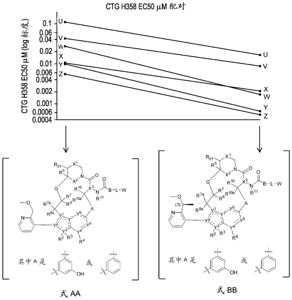 RAS inhibitors