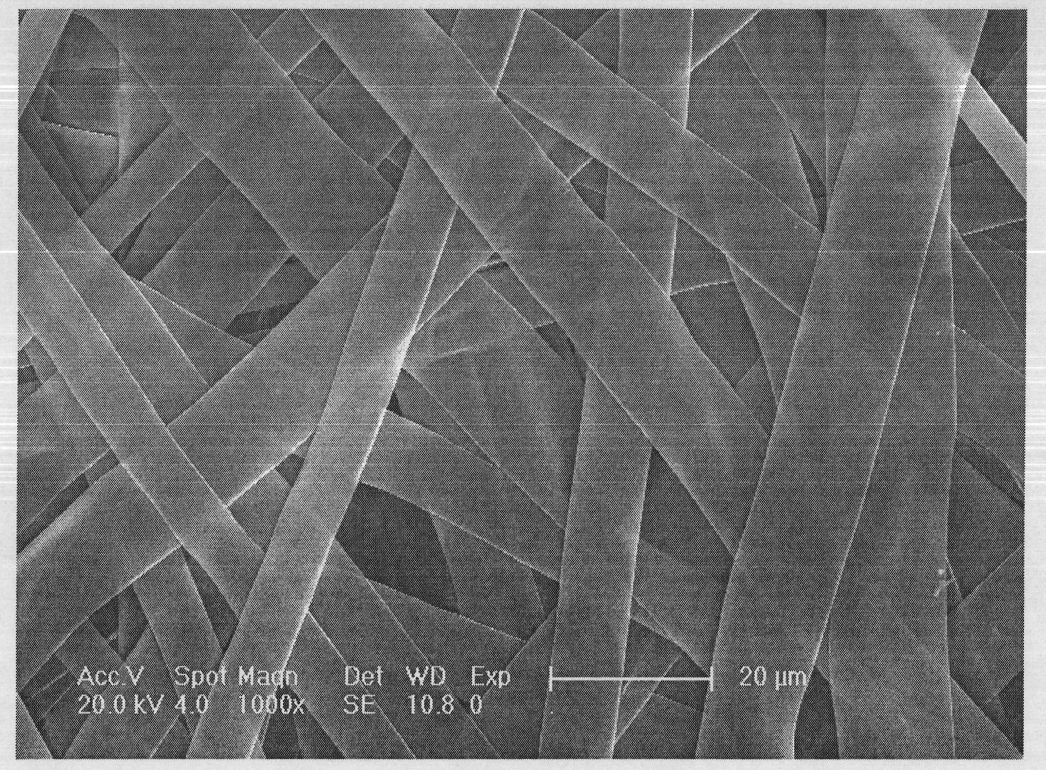 Rare-earth ion doped gadolinium gallium garnet porous nano-belt and preparation method thereof