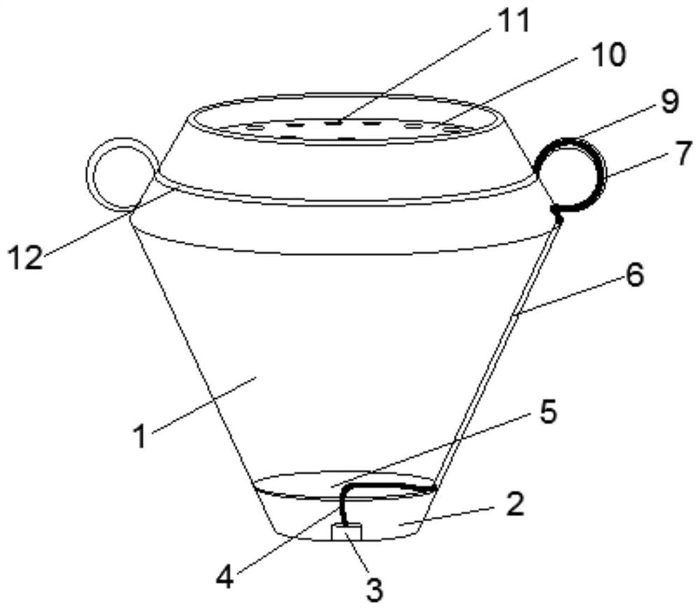 Ceramic artware capable of cultivating dracaena sanderiana