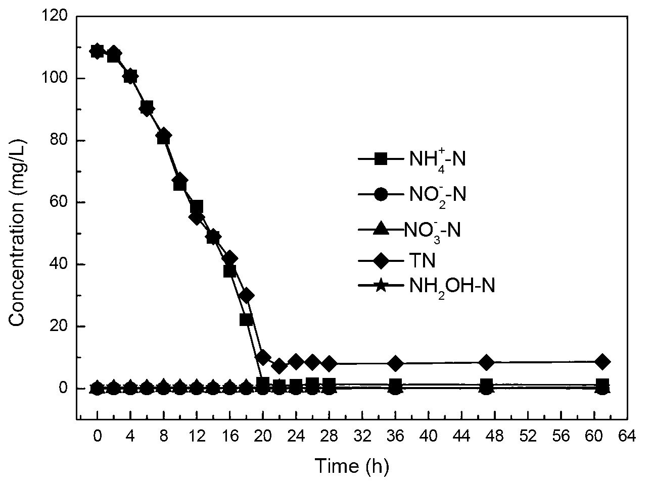 Heterotrophic nitrifying and aerobic denitrifying bacterium and culture and application thereof