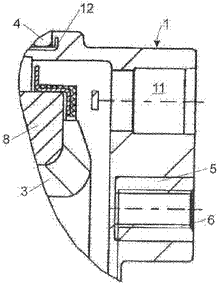 Wheel bearing cap and wheel bearing