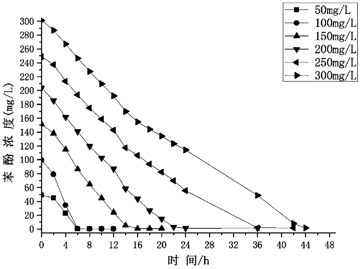 A kind of gy2b degrading bacteria immobilized pellet and its preparation method and application