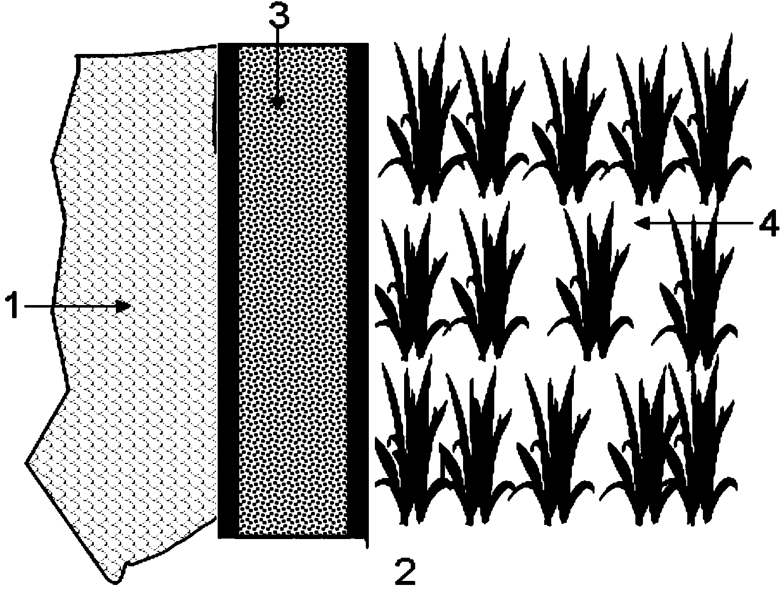 Ecological field ridge for reducing lateral seepage of rice field diffused pollution