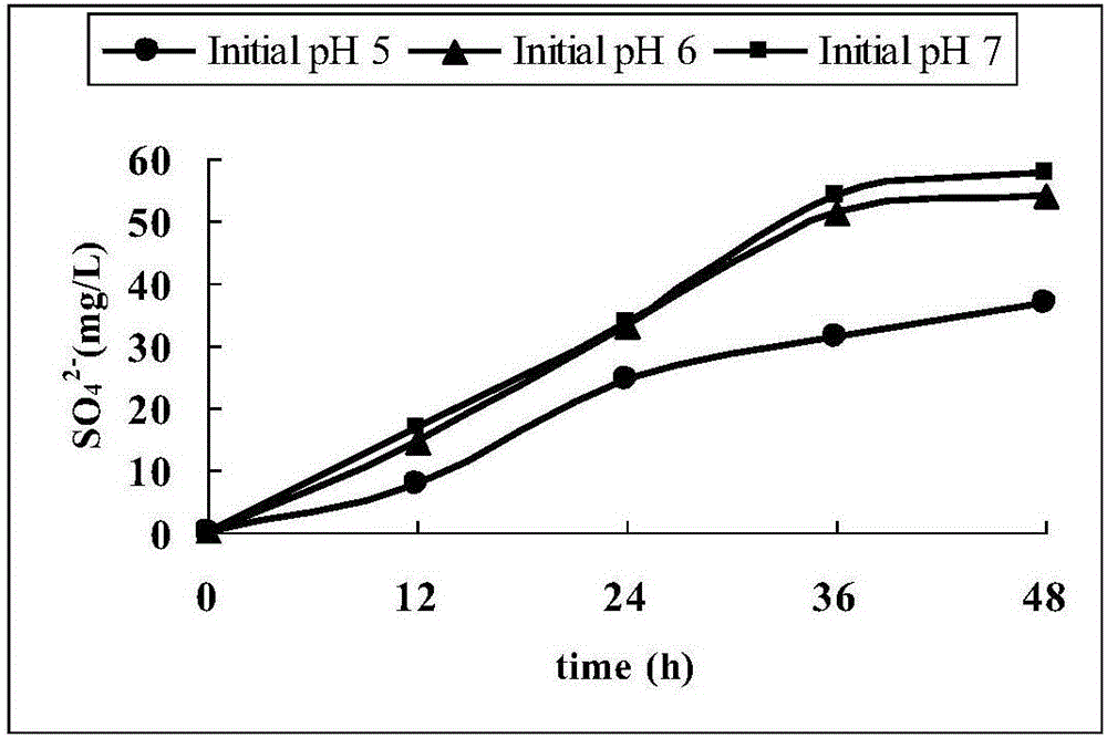 Bacillus cereus and application thereof in oxidizing inorganic sulfide