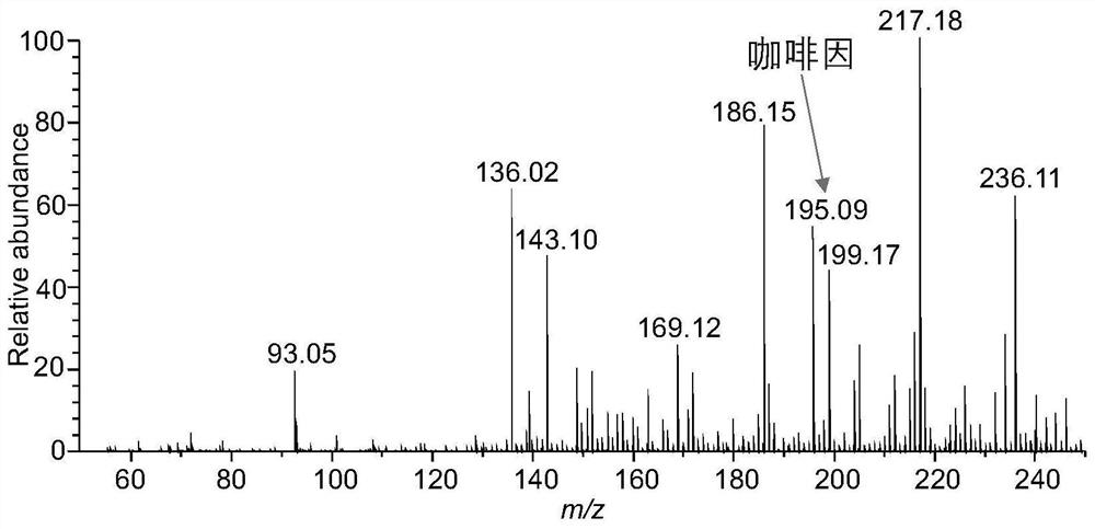 Wearable human exhaled matter adsorption device and wearable human exhaled matter adsorption method