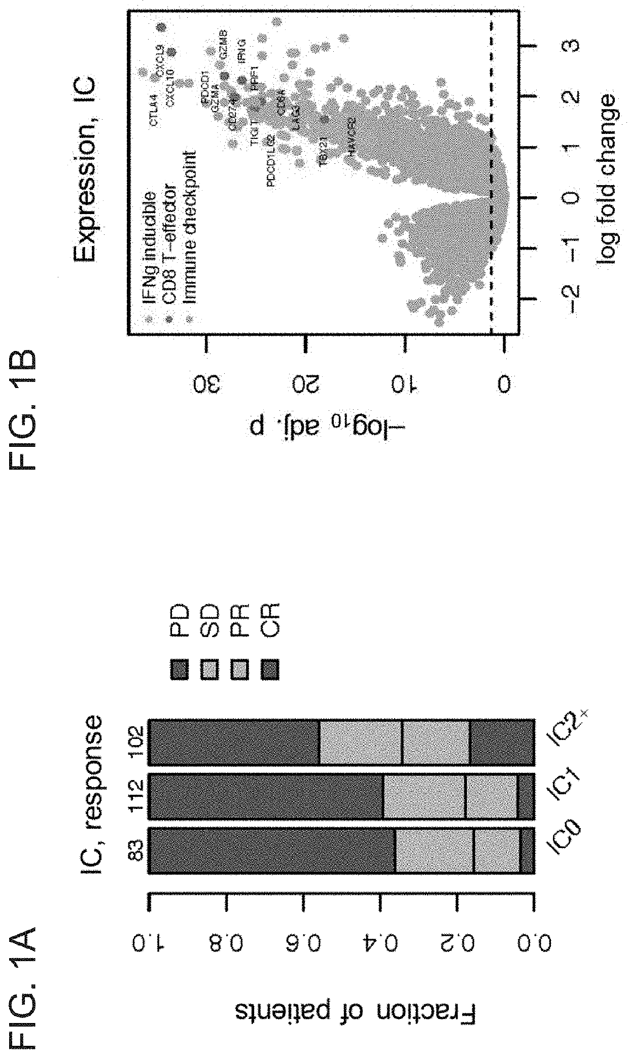 Diagnostic and therapeutic methods for cancer