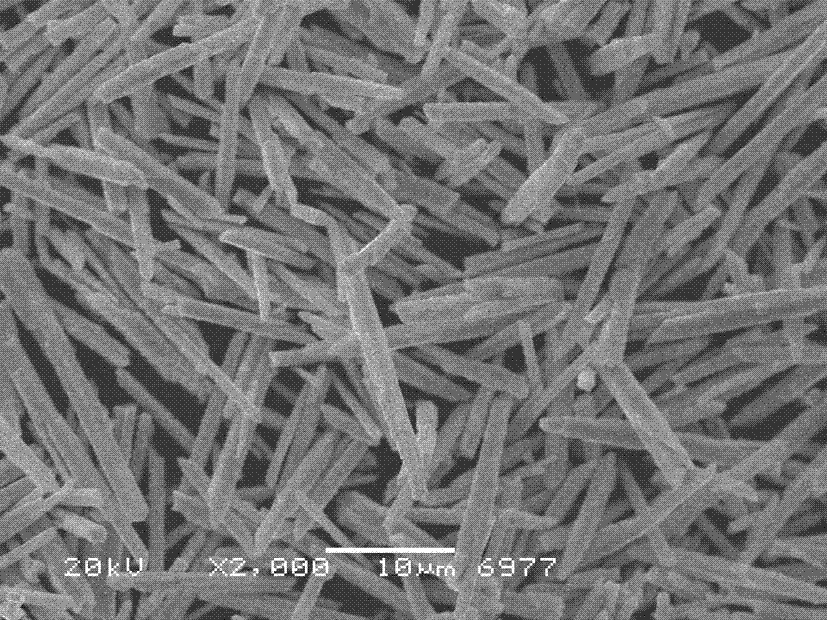Process for preparing needle-like bismuth oxide powder
