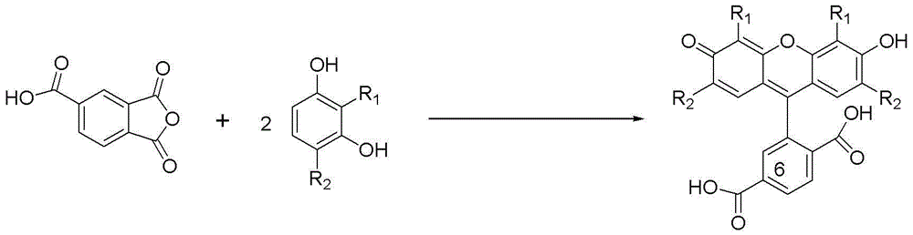 Preparation method for 6-carboxylfluorescein