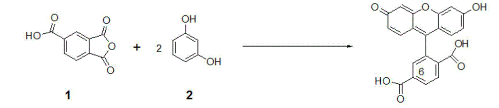 Preparation method for 6-carboxylfluorescein