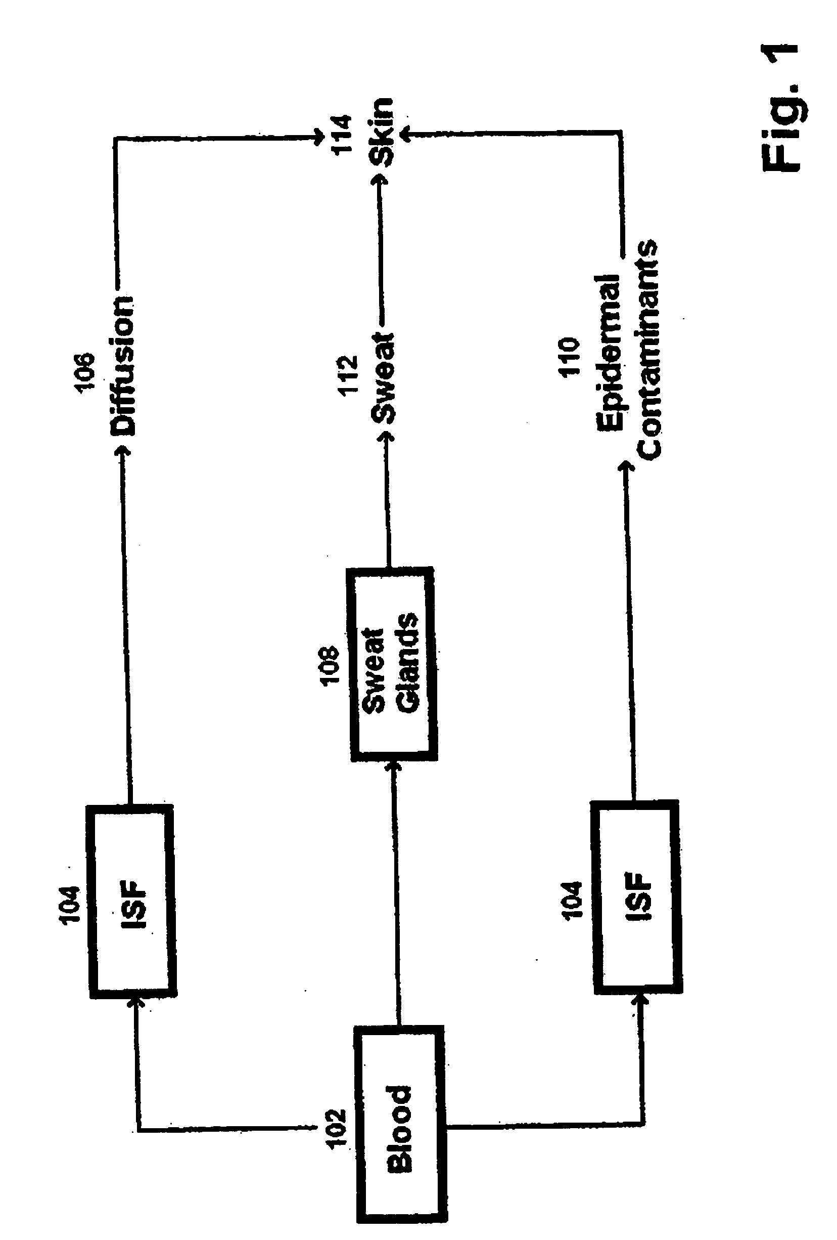 Patches, systems, and methods for non-invasive glucose measurement