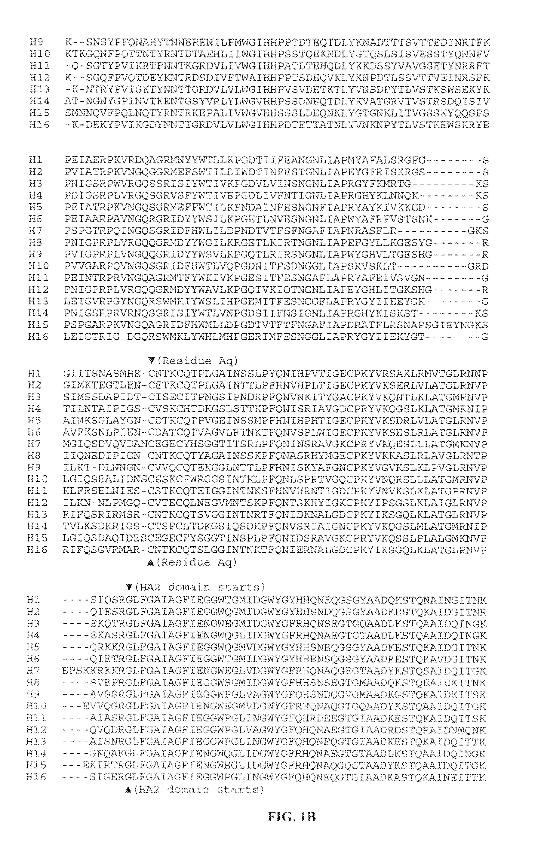 Influenza virus vaccines and uses thereof