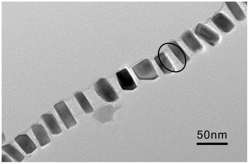 Carbon-containing necklace-like nano nickel telluride as well as preparation and application thereof