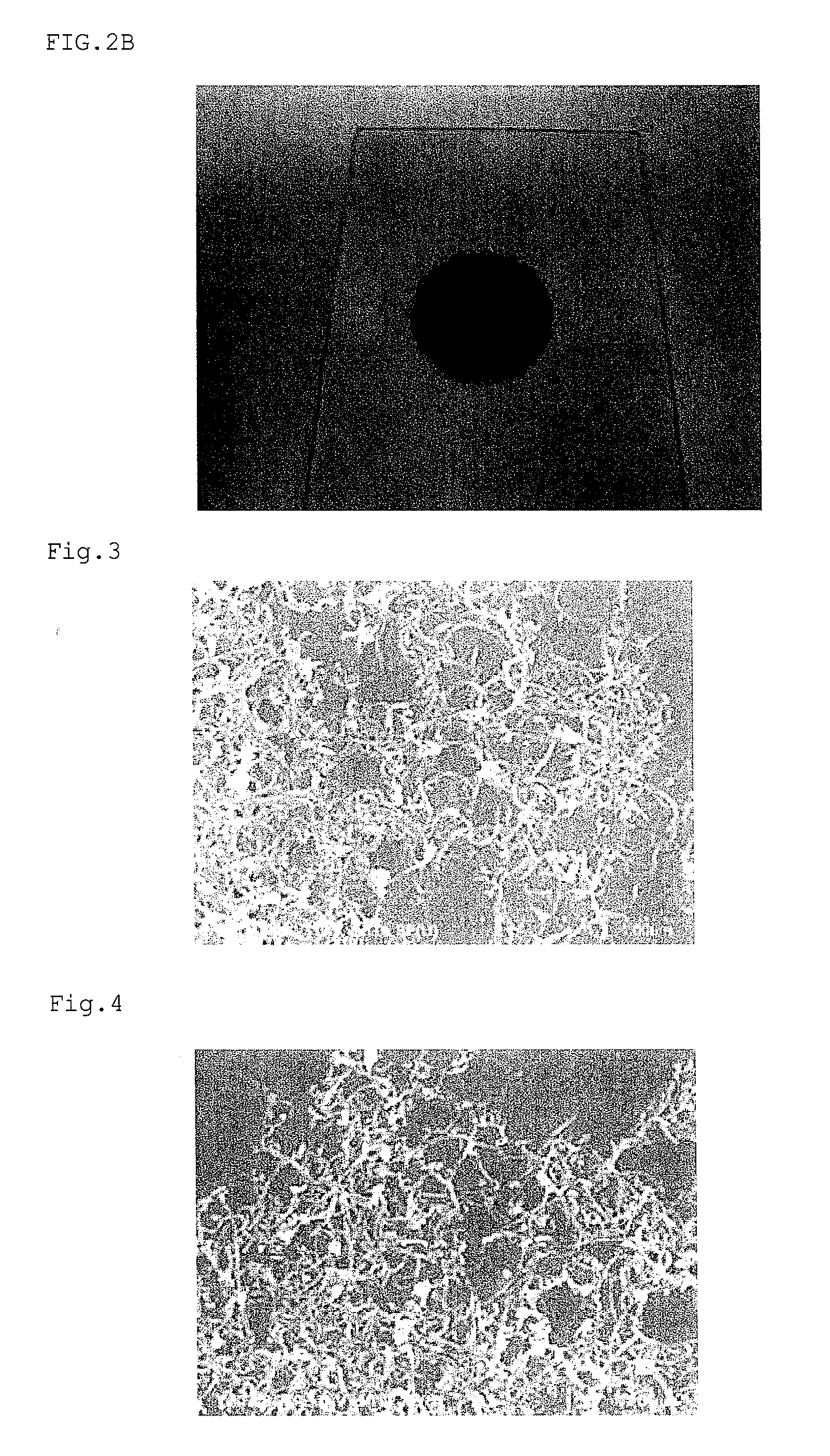 Method for producing carbon nanotubes, method for producing liquid dispersion thereof and optical product