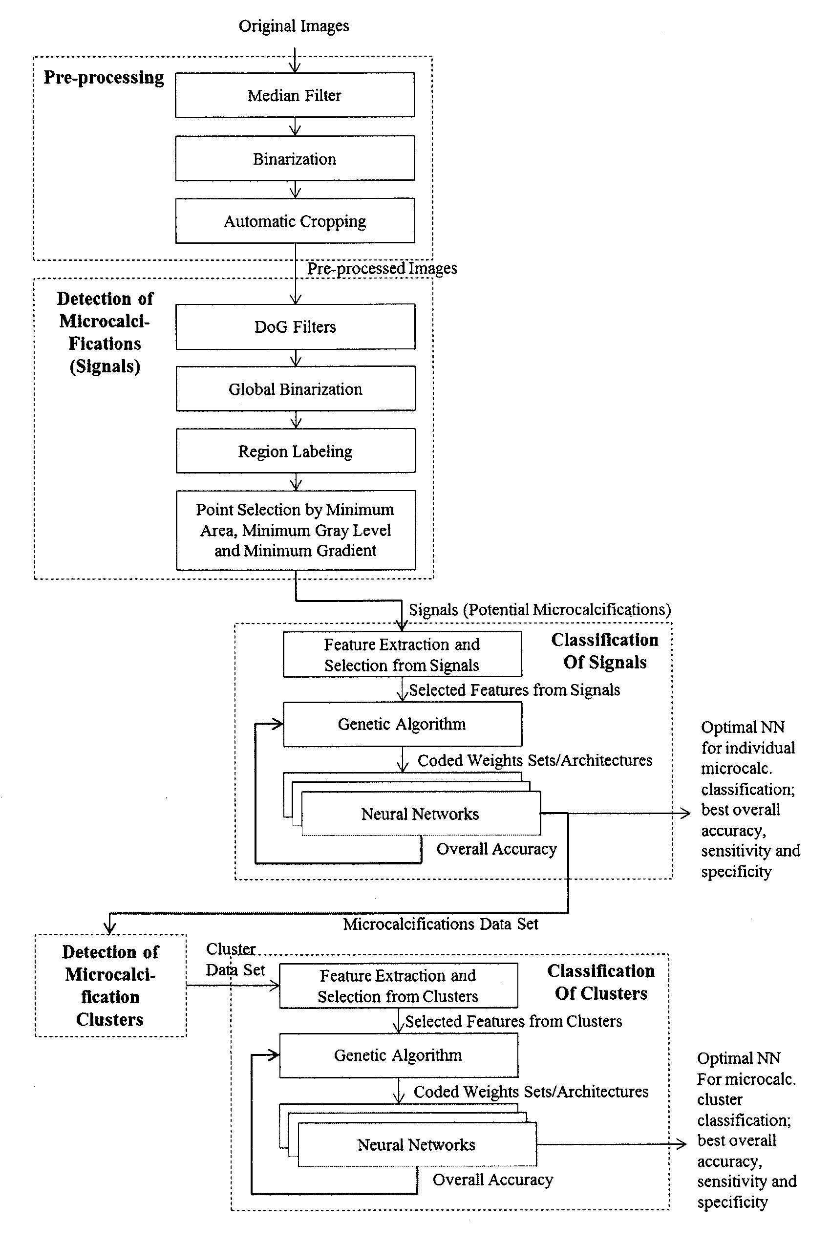 Method for the detection and classification of microcalcification clusters in digital mammograms