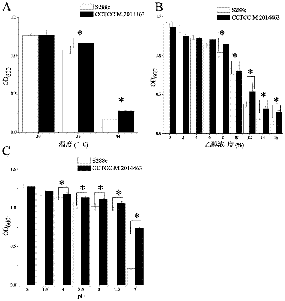 A strain of Saccharomyces cerevisiae capable of co-fermentation with multiple carbon sources and its application