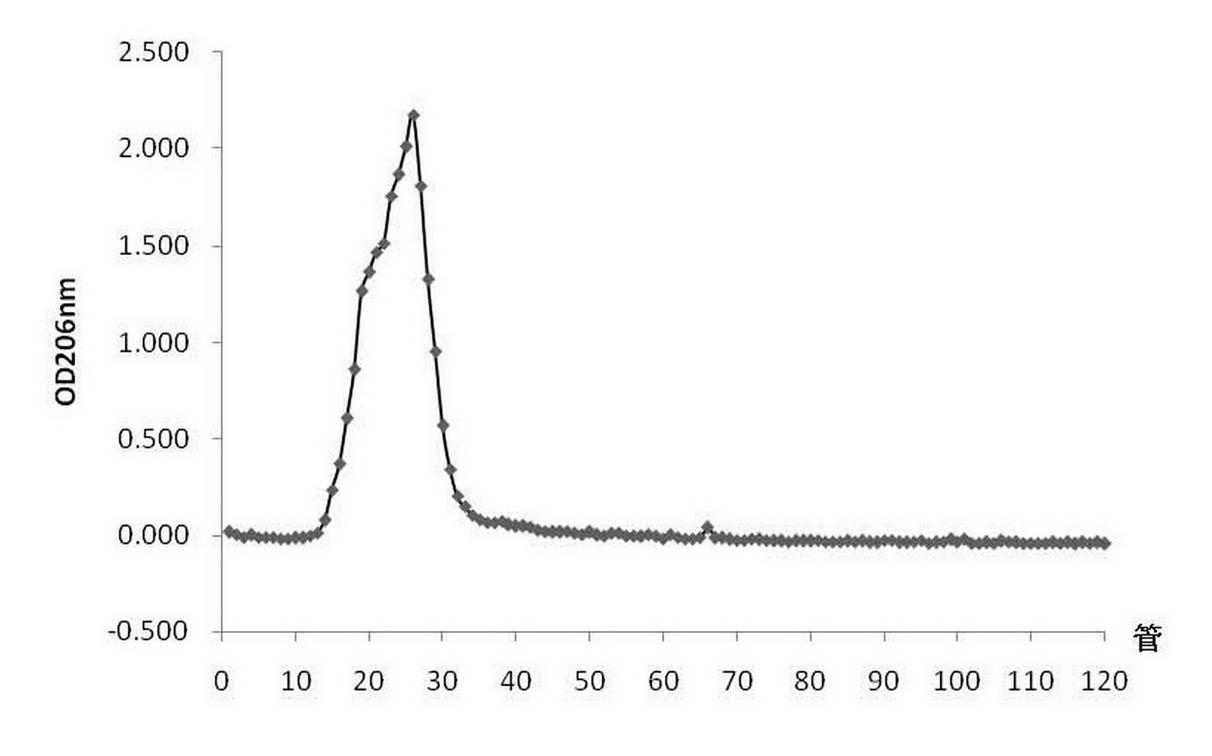 Acapsular type staphylococcus aureus extracellular polysaccharide-protein conjugate and preparation method thereof