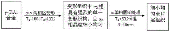 A preparation method of fine full lamellar structure of γ-tial alloy
