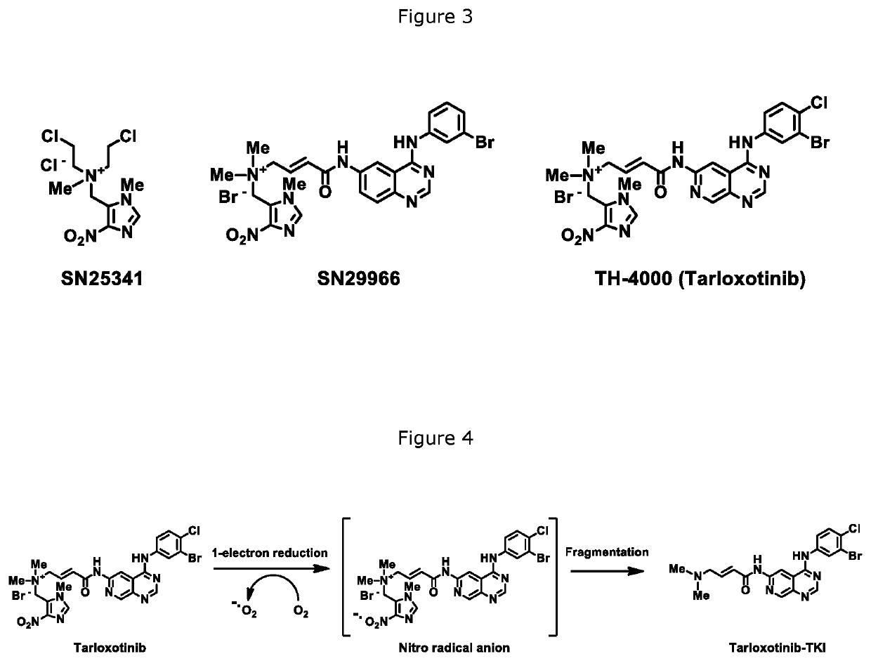 FGFR kinase inhibitors and pharmaceutical uses