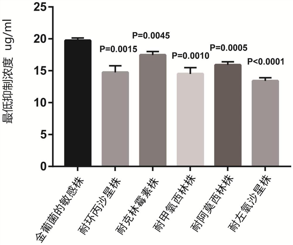 Application of Crizotinib in the Preparation of Anti-Gram-positive Bacteria Drugs