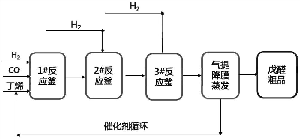 Hydroformylation catalyst composition for preparing 2-methylbutyraldehyde, method and application