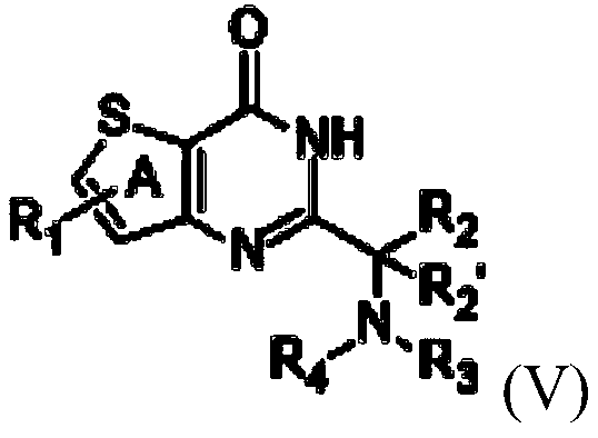 Substituted [5,6]cyclic-4(3H)-pyrimidinones as anticancer agents