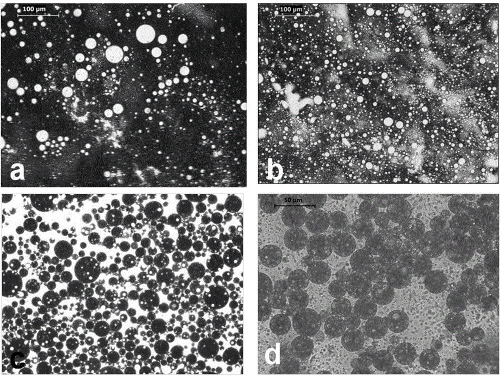 A kind of preparation method of porous polymer microspheres