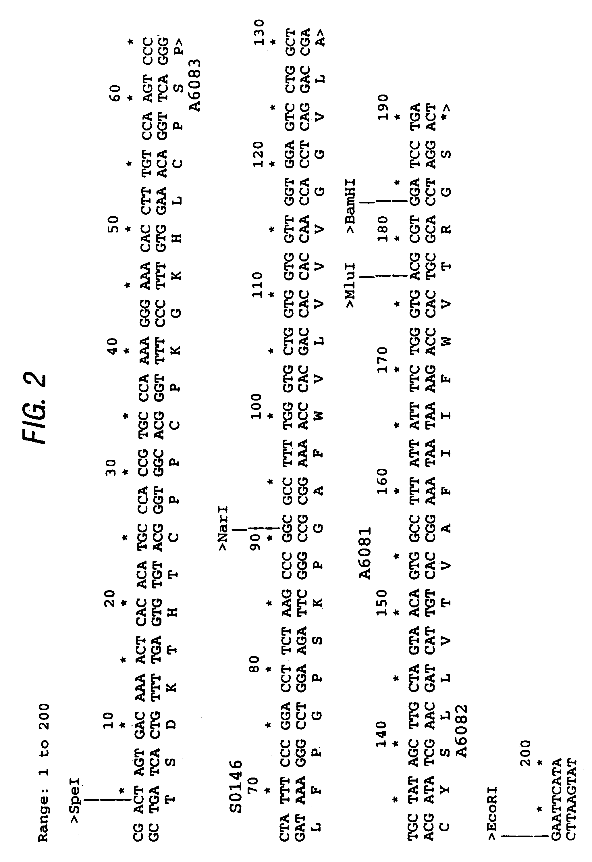 Synthetic transmembrane components
