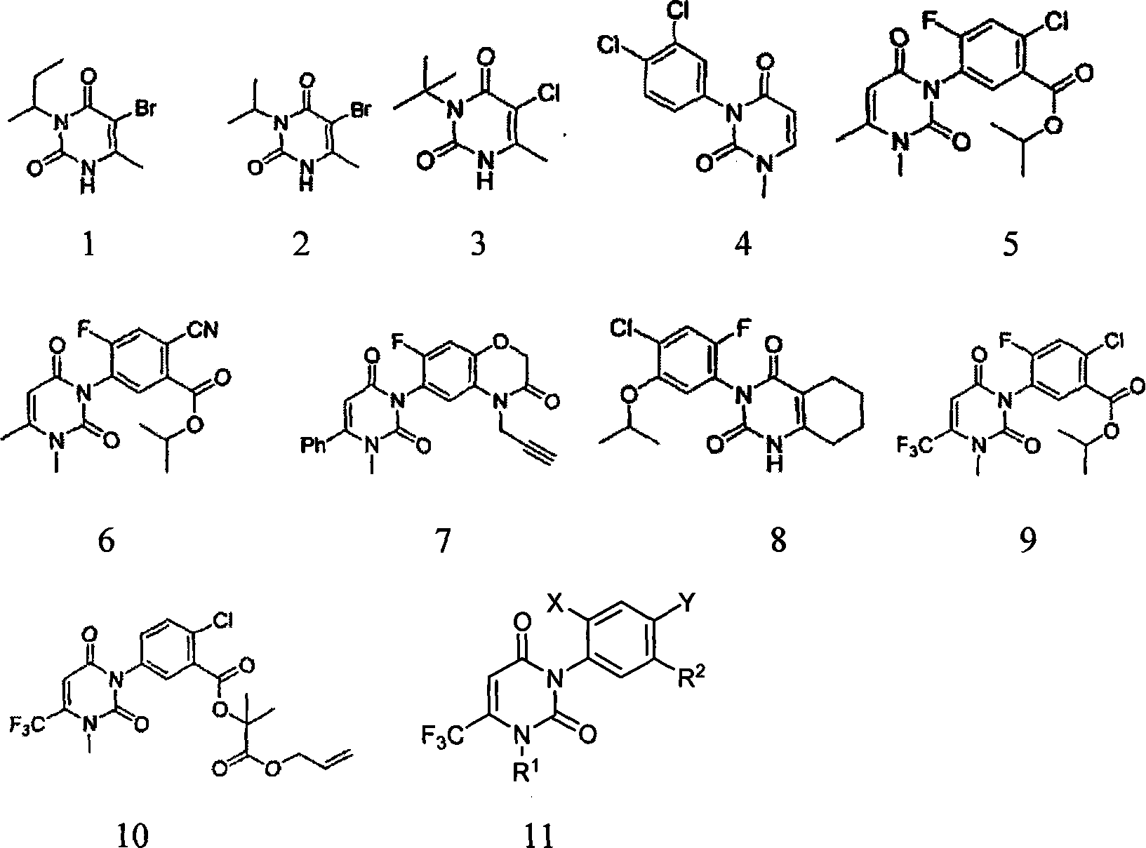 Uracil weeding compounds introducing amide structure