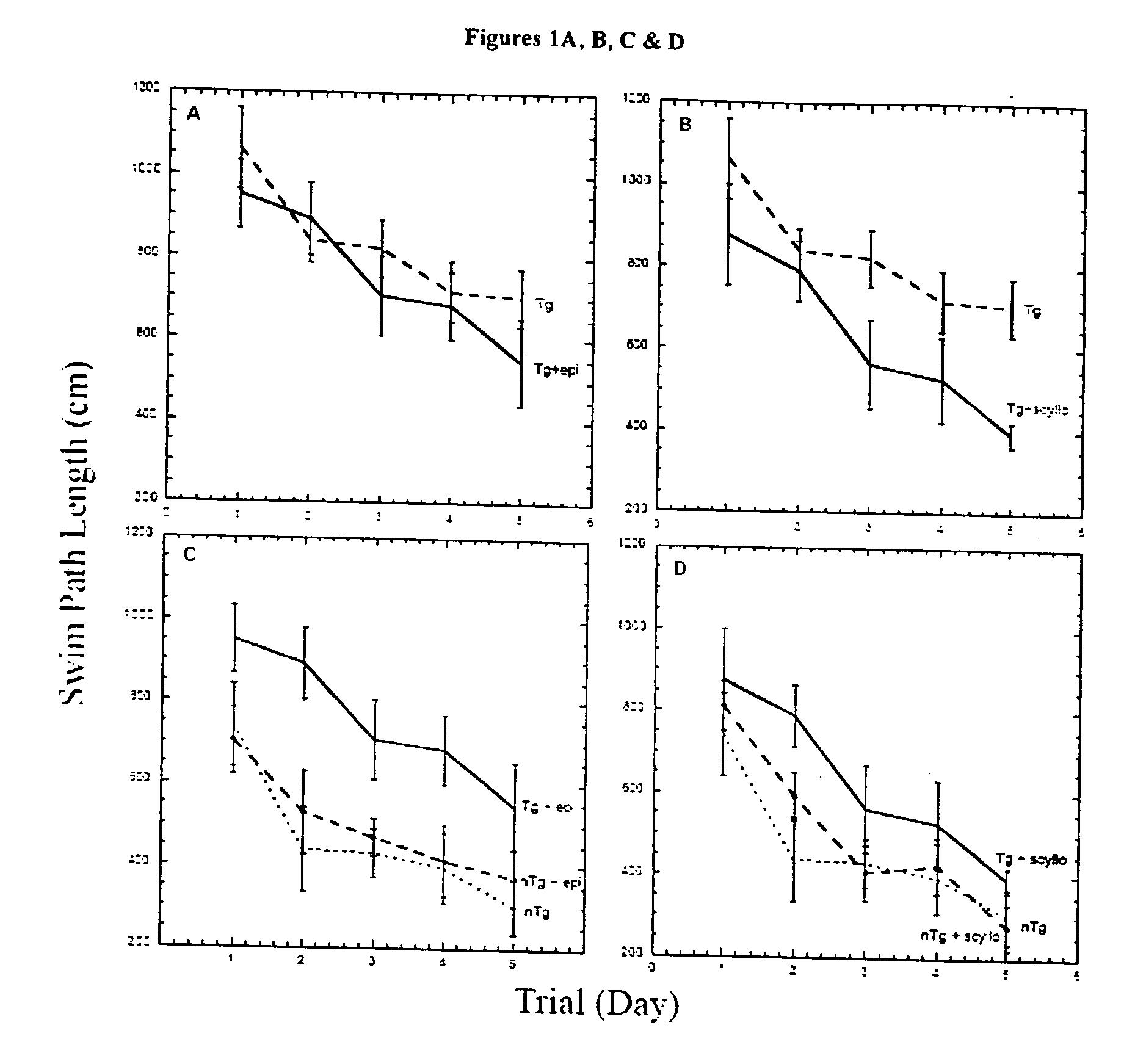Compositions and methods for treatment of disorders of protein aggregation