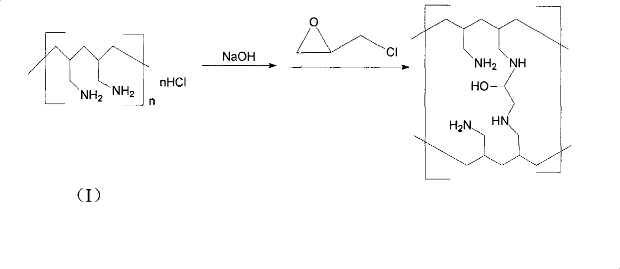 Preparation method of sevelamer carbonate