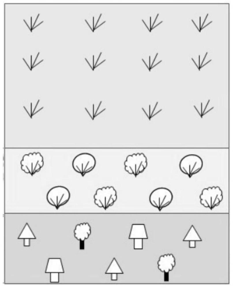 Slope vegetation configuration method suitable for loess hilly region