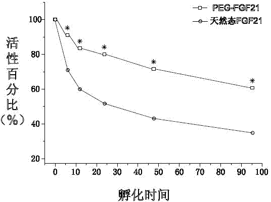 Polyethylene glycol chemically modified compound of human fibroblast growth factor-21 (FGF-21) and preparation method thereof
