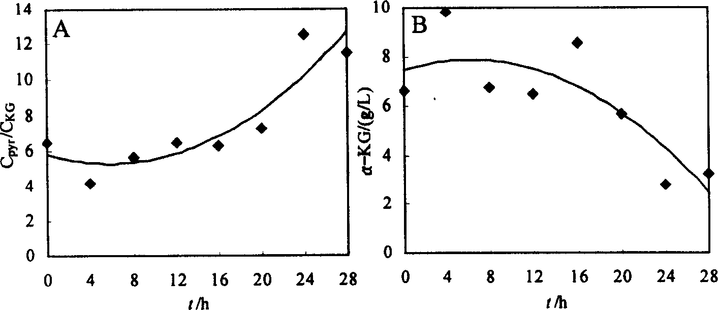 Method for microbial fermentation synthesis of ª‡- ketoglutaric acid