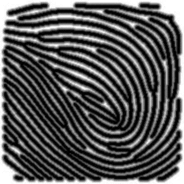 Fingerprint image splicing method based on detailed points and distance image