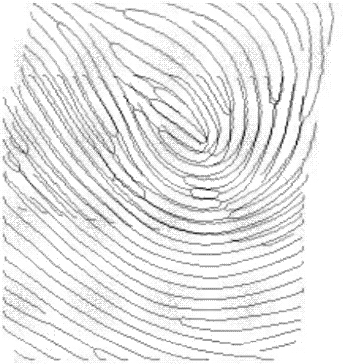 Fingerprint image splicing method based on detailed points and distance image