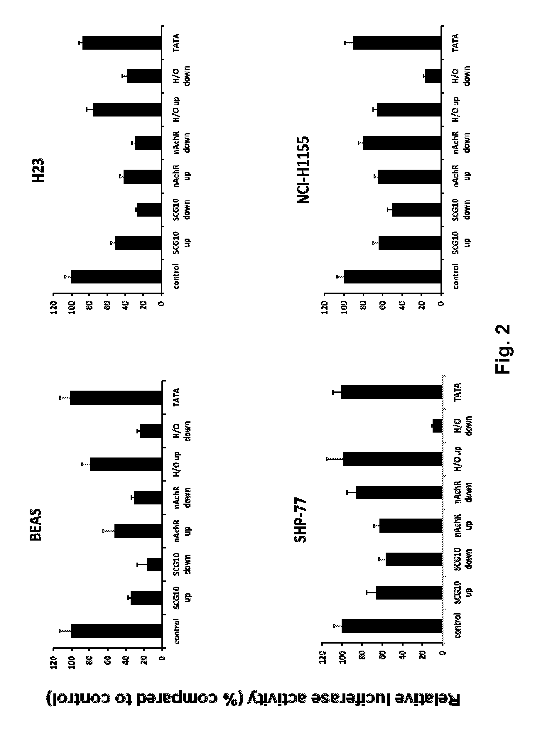 Modified INSM1-promoter for neuroendocrine tumor therapy and diagnostics