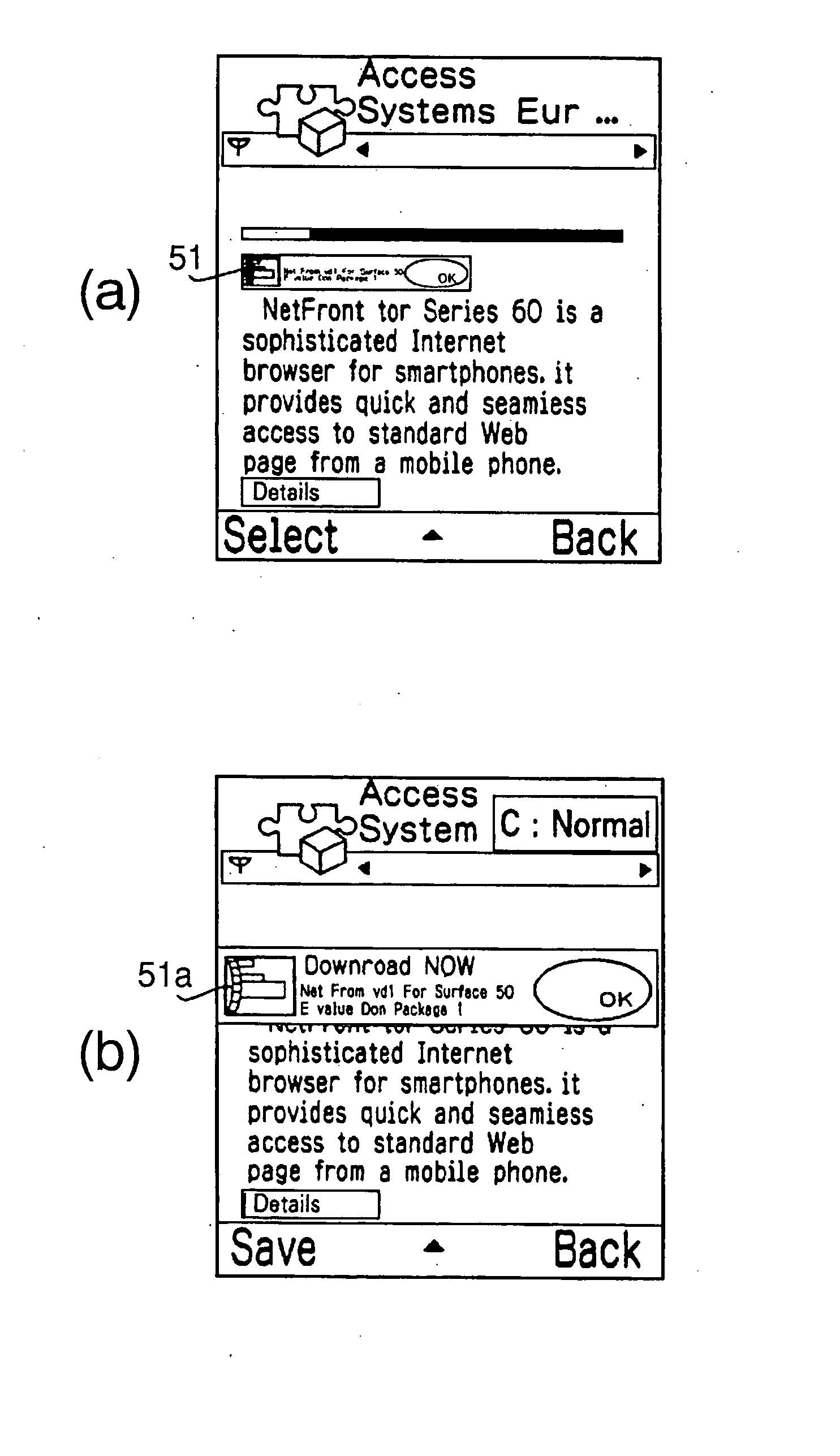 Method, Terminal Device and Program for Dynamic Image Scaling Display in Browsing